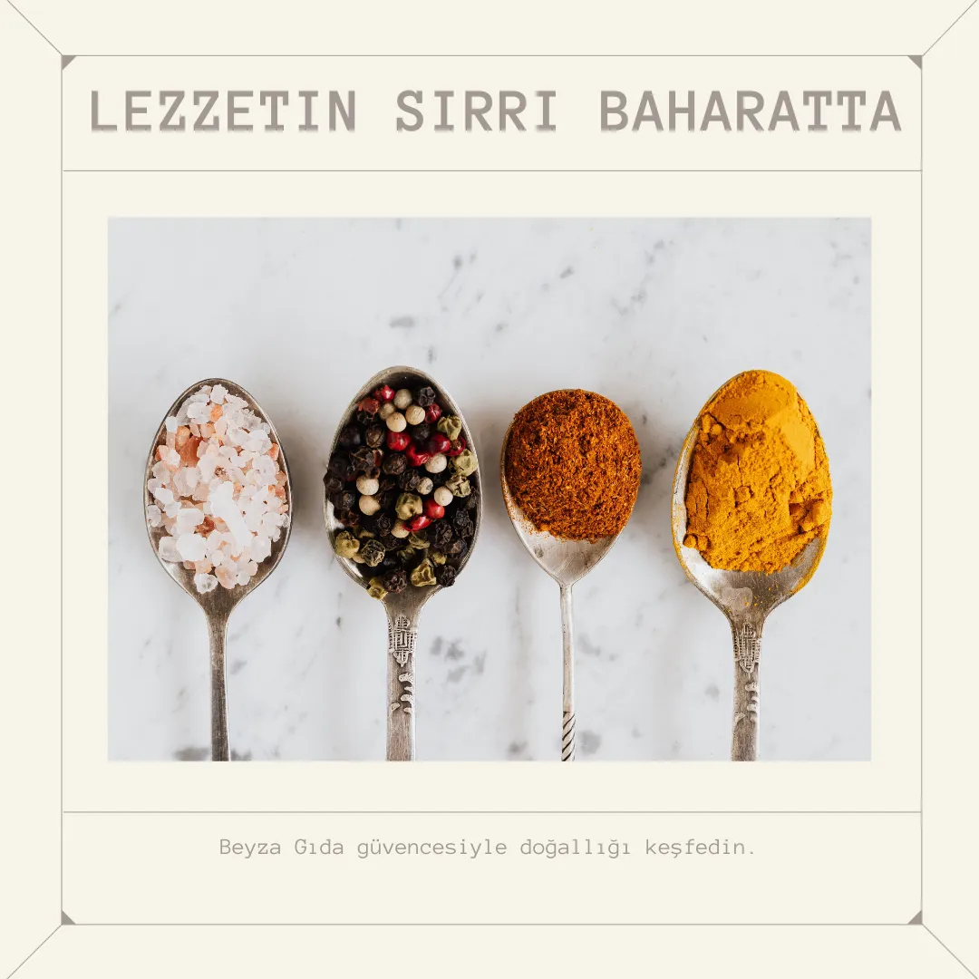 Hakkımızda